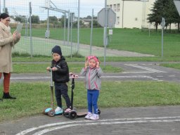 2025-09-26 Biedronki w Chojnie